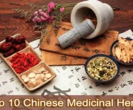 chinese-medicinal-herbs
