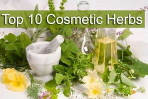 cosmetic-herbs